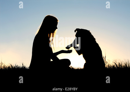 eine Mädchen ist draußen in der Wiese, sitzen Händeschütteln mit ihrem Schäferhund-Hund, Silhouette gegen den Himmel Sonnenuntergang Stockfoto