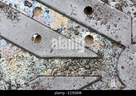 Schillernde Farben auf Gartenarbeit Plastikschale Stockfoto