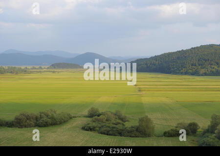 Blick auf Ackerland auf vorübergehend trocken intermittierende See, See Cerknica, Cerknica Polje, Inner Krain, Slowenien, August Stockfoto