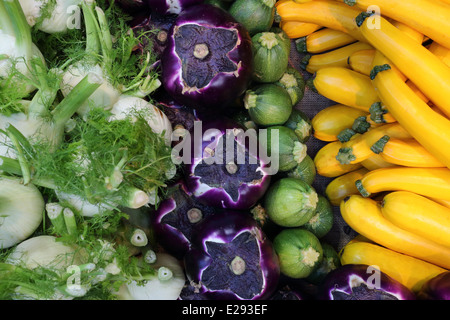 Mischung aus bunten Herbst Gemüse zusammen in Reihen angeordnet. Stockfoto