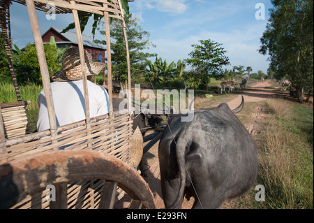 Landwirt mit Stroh Hut fährt einen Wagen, gezogen von zwei Wasserbüffel auf dem Lande in der Nähe von Siem Reap Stockfoto