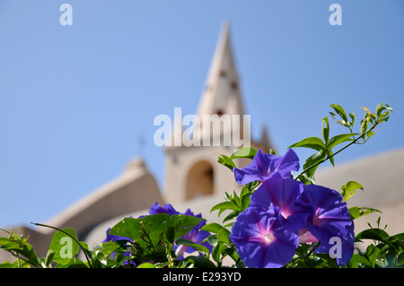 Äolischen Inseln, Panarea, Messina, Sizilien, Italien, Europa Stockfoto