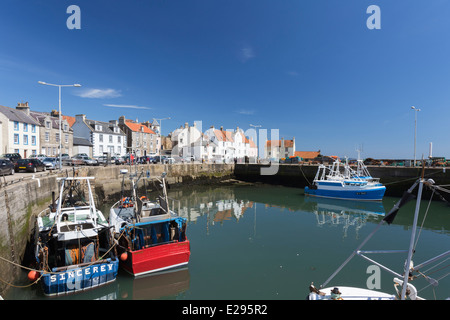 Pittenweem Hafen in der East Neuk of Fife Stockfoto