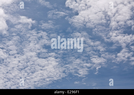 Cirrocumulus "Fischgrat" oder "Makrele" Wolken bilden ungewöhnliche Muster in den Himmel über Dundee, UK Stockfoto