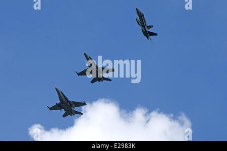 Jagel, Deutschland. 17. Juni 2014. Drei Schweizer f-18-Kampfjets fliegen über der Airbase in Jagel, Deutschland, 17. Juni 2014. Die NATO-Luft-Übung "Tiger Meet" stattfindet in Jagel mit 1.100 Soldaten aus 18 Ländern. Foto: AXEL HEIMKEN/Dpa/Alamy Live News Stockfoto