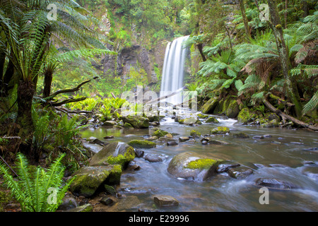Hopetoun Falls am Fluss Aire im Great Otway National Park, Victoria, Australien. Stockfoto