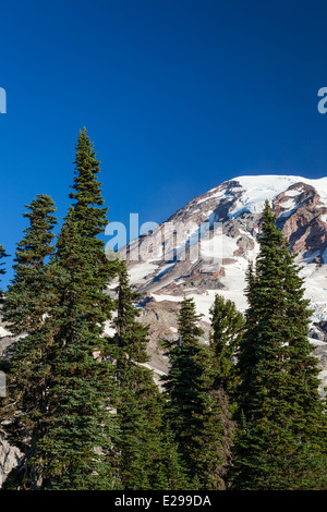 Mount Rainier Nationalpark, Washington Stockfoto