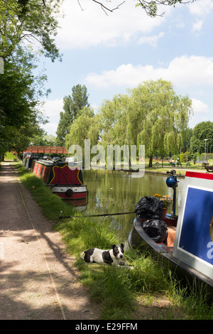 Grand Union Canal - Berkhamsted - Hertfordshire Stockfoto