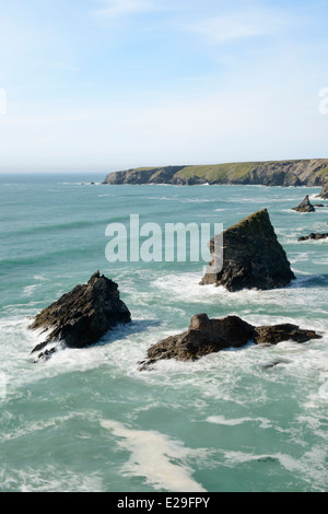 Blick Richtung Park Kopf, in der Nähe von Bedruthan Steps, Cornwall. Stockfoto