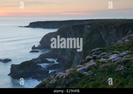 Blick Richtung Park Kopf, in der Nähe von Bedruthan Steps, Cornwall. Stockfoto