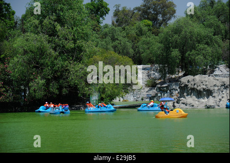 Jugendliche und Familien Bootfahren auf Lago Mayor de Chapultepec Park Chapultepec, Mexiko Stadt, Mexiko Stockfoto