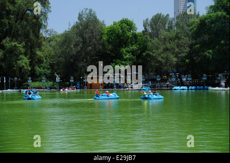 Jugendliche und Familien Bootfahren auf Lago Mayor de Chapultepec Park Chapultepec, Mexiko Stadt, Mexiko Stockfoto