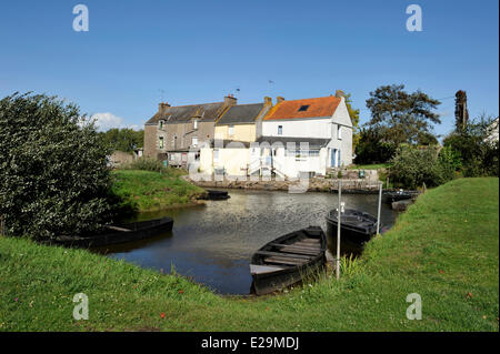 Frankreich, Loire-Atlantique Parc Naturel Regional De La Briere (Briere Naturpark), Roze Stockfoto