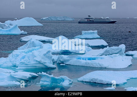 Antarktis Kreuzfahrt auf Boreal Schiff, Cuverville Island in Errera Kanal zwischen Arctowski Halbinsel und dem nördlichen Teil des Stockfoto