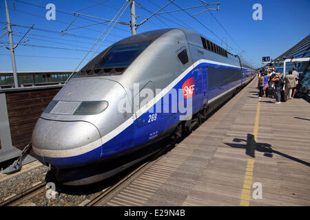 Frankreich, Vaucluse, Avignon TGV Bahnhof von den Architekten Jean Marie Duthilleul und Jean Francois Blassel Stockfoto