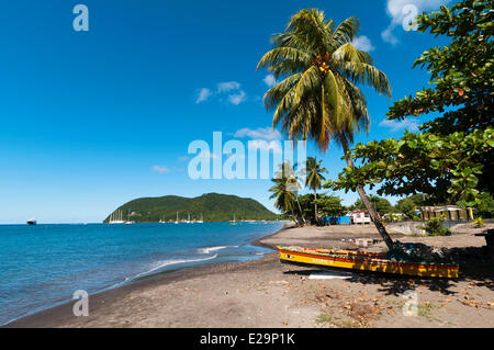 Dominica, Portsmouth Stockfoto