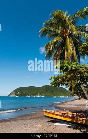 Dominica, Portsmouth Stockfoto