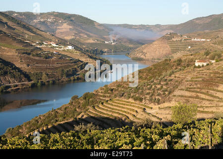 Portugal, Nordregion, Vila Real District, Douro-Tal, Covas do Douro Weinbergsbesitz, als Weltkulturerbe durch Stockfoto