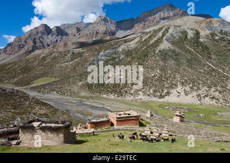 Nepal, Karnali Zone, Dolpo Region, Shey, Dorf und gompa Stockfoto