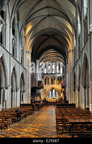 Irland, Dublin, St. Patricks Kathedrale Stockfoto