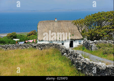 Irland, County Galway, Aran-Inseln, Inishmore, strohgedeckten Hütte Stockfoto