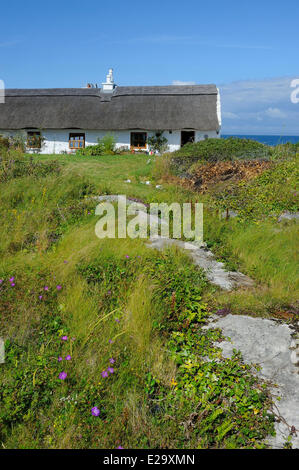 Irland, County Galway, Aran-Inseln, Inishmore, Kilmurvey, B &amp; B, Man of Aran Cottage Stockfoto