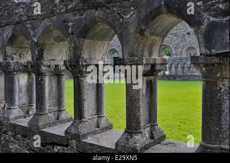Irland, County Mayo, Cong Abbey, der Kreuzgang Stockfoto