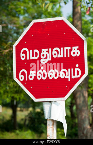 Indien, Tamil Nadu State Gingee, die Überreste des Forts gebaut im 16. Jahrhundert durch die Vijiyanagar mit Blick auf die Stockfoto