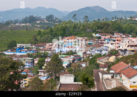 Indien, Tamil Nadu State, das Dorf Kotagiri in den Nilgiri Hills (blaue Berge) Stockfoto