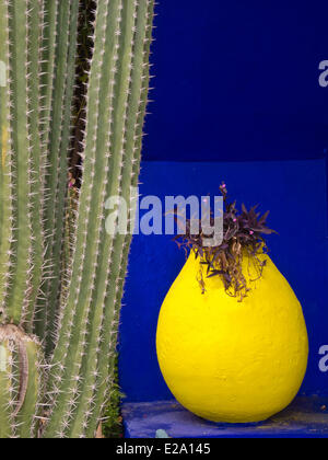 Marokko, obere Atlas, Marrakech, Gueliz Bezirk Majorelle Garten, das Heimstudio des französischen Malers Jacques Majorelle Stockfoto