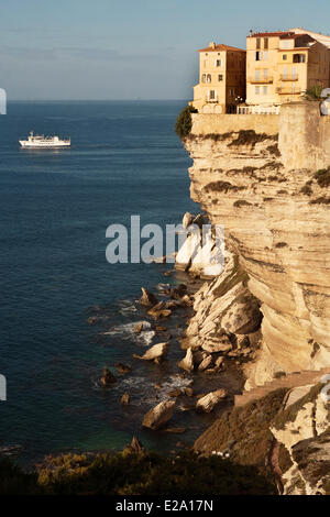 Frankreich, Corse du Sud, Häuser der Altstadt von Bonifacio thront auf dem kalkhaltigen Hügel Stockfoto