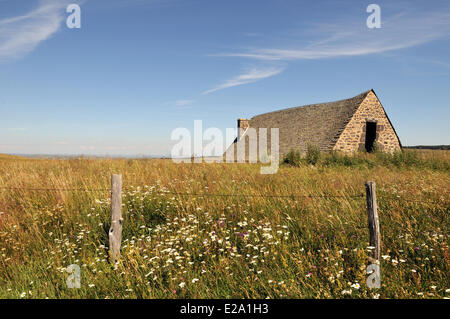 Frankreich, Aveyron, Hochebene von Aubrac, Landschaft, der Puy de Gudette, Sommer Bergbauernhof, einer Berghütte Stockfoto