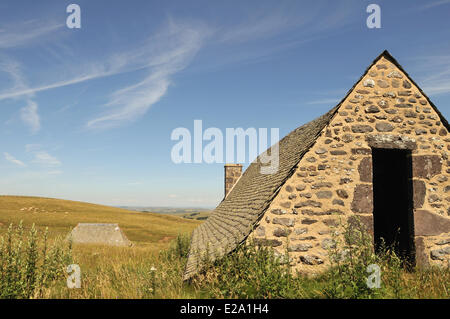 Frankreich, Aveyron, Hochebene von Aubrac, Landschaft, der Puy de Gudette, Sommer Bergbauernhof, einer Berghütte Stockfoto