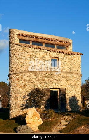 Frankreich, Vaucluse, Lubéron, Bonnieux, Domaine de Capelongue, Taube, obligatorische erwähnen Stockfoto