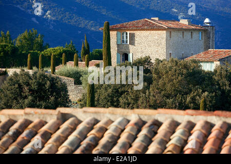 Frankreich, Vaucluse, Lubéron, Bonnieux, Domaine de Capelongue, obligatorische erwähnen Stockfoto