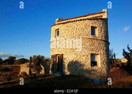 Frankreich, Vaucluse, Lubéron, Bonnieux, Domaine de Capelongue, Taube, obligatorische erwähnen Stockfoto