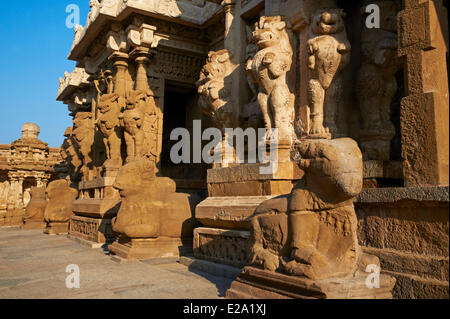 Indien, Tamil Nadu Zustand, Kanchipuram, Kailasanatha-Tempel des 8. Jahrhunderts Stockfoto