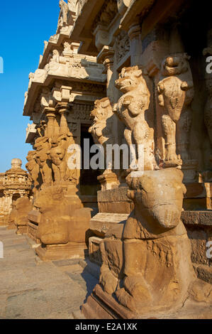 Indien, Tamil Nadu Zustand, Kanchipuram, Kailasanatha-Tempel des 8. Jahrhunderts Stockfoto