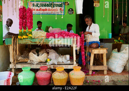 Indien, Tamil Nadu Zustand, Madurai, Blumenmarkt Stockfoto