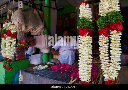Indien, Tamil Nadu Zustand, Madurai, Blumenmarkt Stockfoto