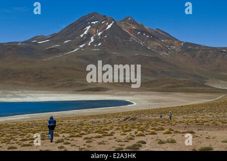 Antofagasta Region, Altiplano, Atacama-Wüste, Chile, Los Flamencos Nationalreservat Laguna Miscanti (4200 m) in den Anden Stockfoto