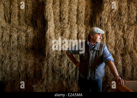 Michel Manificat, Präsident des ASA Canal de Haute Crau und Heu Produzenten, Saint Martin de Crau, Bouches du Rhone, Frankreich Stockfoto