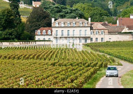 Frankreich, Cote d ' or, Route des Grands Crus, Côte de Nuits Weinberg, Morey-Saint-Denis, Clos de Lambrayst, Eigenschaft Lambrays Ansicht Stockfoto