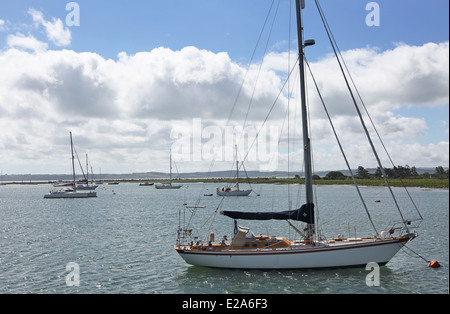 Eine Tradewind 40 Yacht festgemacht am Fluss Beaulieu in Hampshire, England, UK. Weitere Yachten im Hintergrund Stockfoto