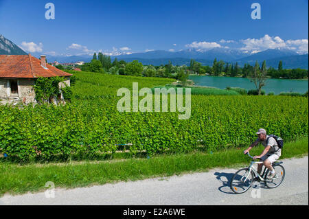 Frankreich, Savoyen, Lac Saint Andre (Saint Andre See), Fahrrad Stockfoto