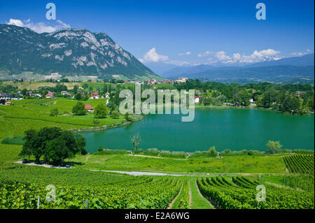 Frankreich, Savoyen, Lac Saint Andre (Saint Andre See) w, Marken Stockfoto