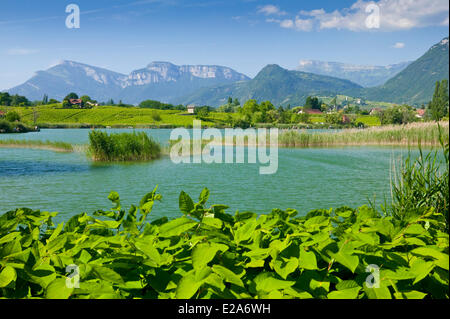 Frankreich, Savoyen, Lac Saint Andre (Saint Andre See) Stockfoto