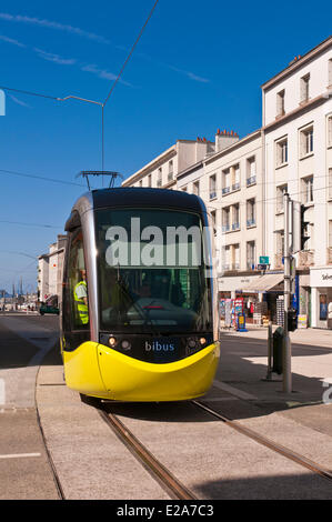 Frankreich, Finistere, Brest, der Siam-Straße, die Straßenbahn von Brest ist ein Projekt von TCSP (öffentliche Verkehrsmittel in speziellen Bahnen) von Stockfoto