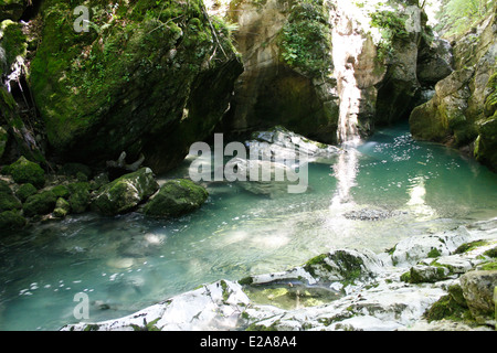 Gebirgsfluss und Brücke in den regionalen Park der Chartreuse, Isere, Alpen, Rhone Alpes, Frankreich Stockfoto