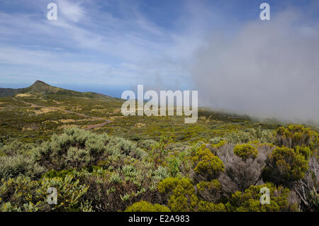 Frankreich, La Réunion (französische Übersee-Departement), Parc National De La Réunion (Reunion National Park), als Welt aufgeführt Stockfoto